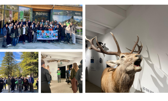 Collage mit Gruppenbild, Hirsch, Frauen und Männern bei Führung durch das Museum