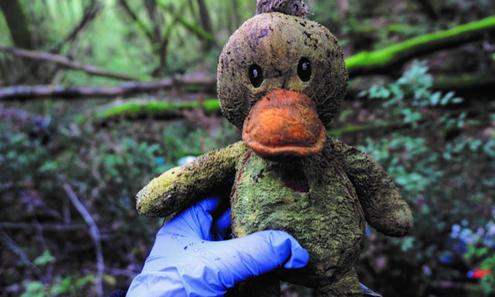 Eine Hand hält ein schmutziges Enten-Stofftier im Wald